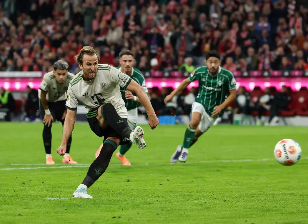 成鲜明对比 成鲜明对比